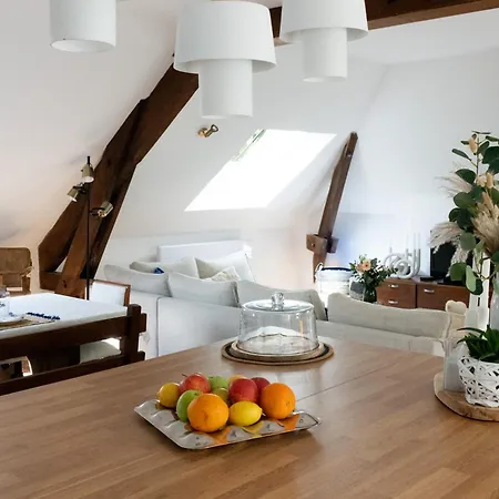 Chez Manou, Appt Spacieux Et élégant Proche *