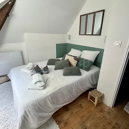 Chez Manou, Appt Spacieux Et élégant Proche *