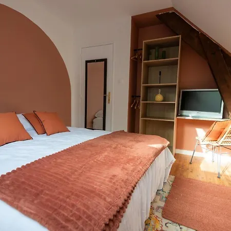 Chez Manou, Appt Spacieux Et Elegant Proche 公寓 奥尔特